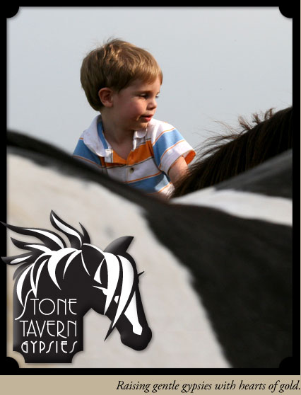 A little boy experiences a gypsy horse